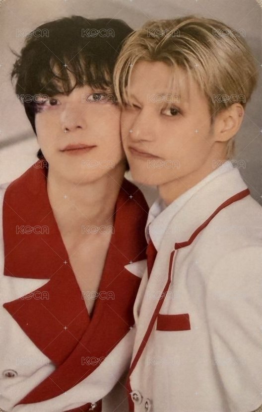 ANITEEZ IN THE CALLING 周邊卡 LUGGAGE COVER XL - ANITEEZ 正面