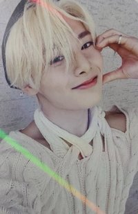 MAXIDENT wm 特典卡 