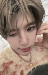 poppop 周邊卡 Sion 中國MD 扭蛋機小卡