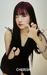 二巡 隨機卡 東蛋寧