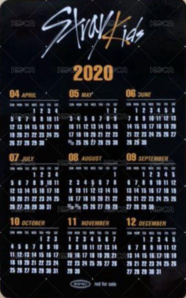 SKZ2020 專輯卡  背面