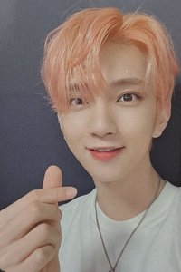 落花 專輯卡 C ver.