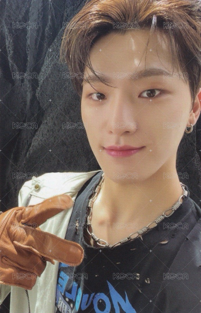 正四 專輯卡 正規四｜Ep5 ver. 正面