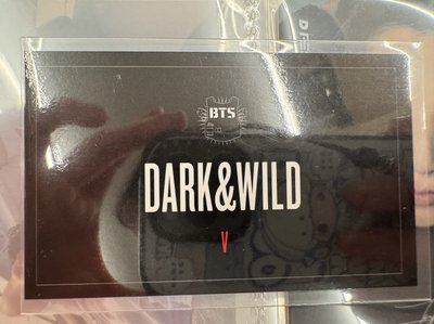 BTS 防彈少年團 金泰亨 V dark $ wild 專卡 小卡