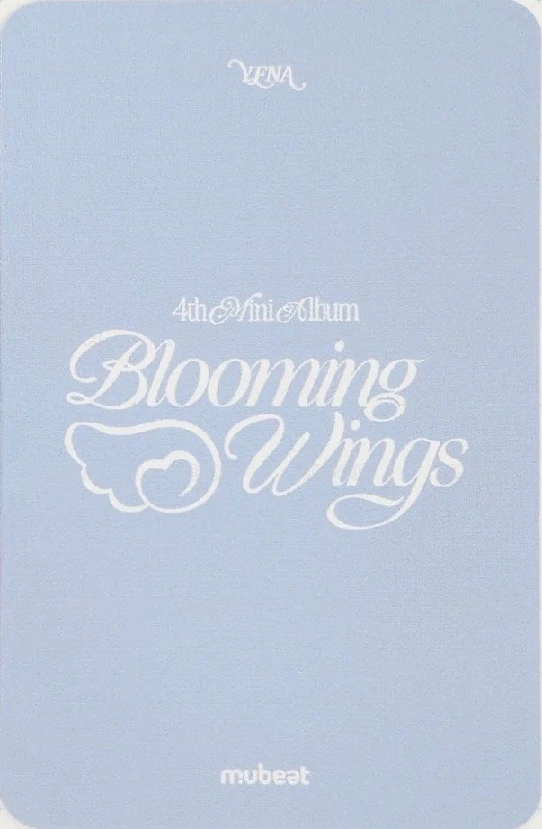 迷四 mb SC 特典卡  背面