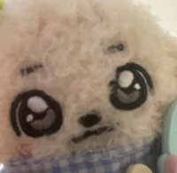 龍蝦