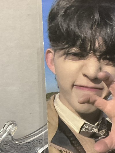 seventeen 哲 虎爪哲 ⚠️有損