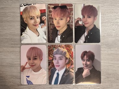 售 金小狗帥帥紙片