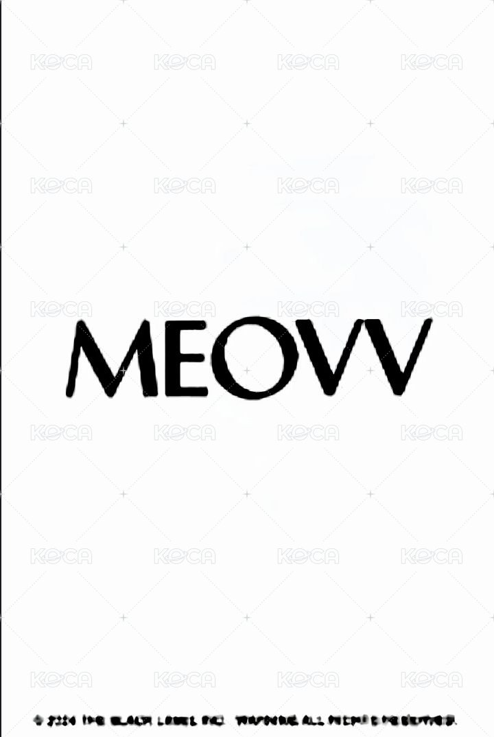 MEOVV 出道 2.0 打歌卡  背面