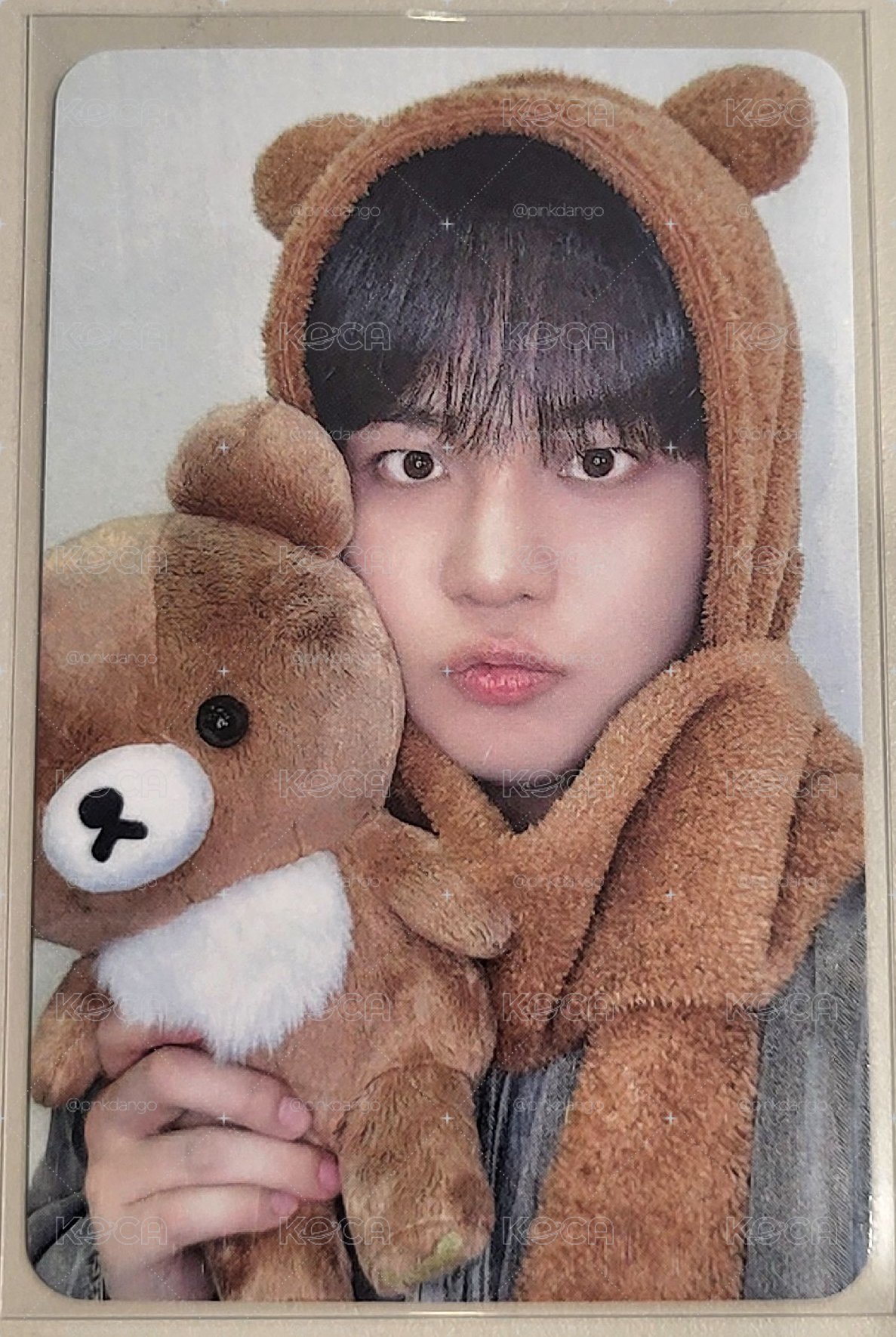 ATEEZ 鍾浩 GH3 HL 蜜茶熊 簽售卡