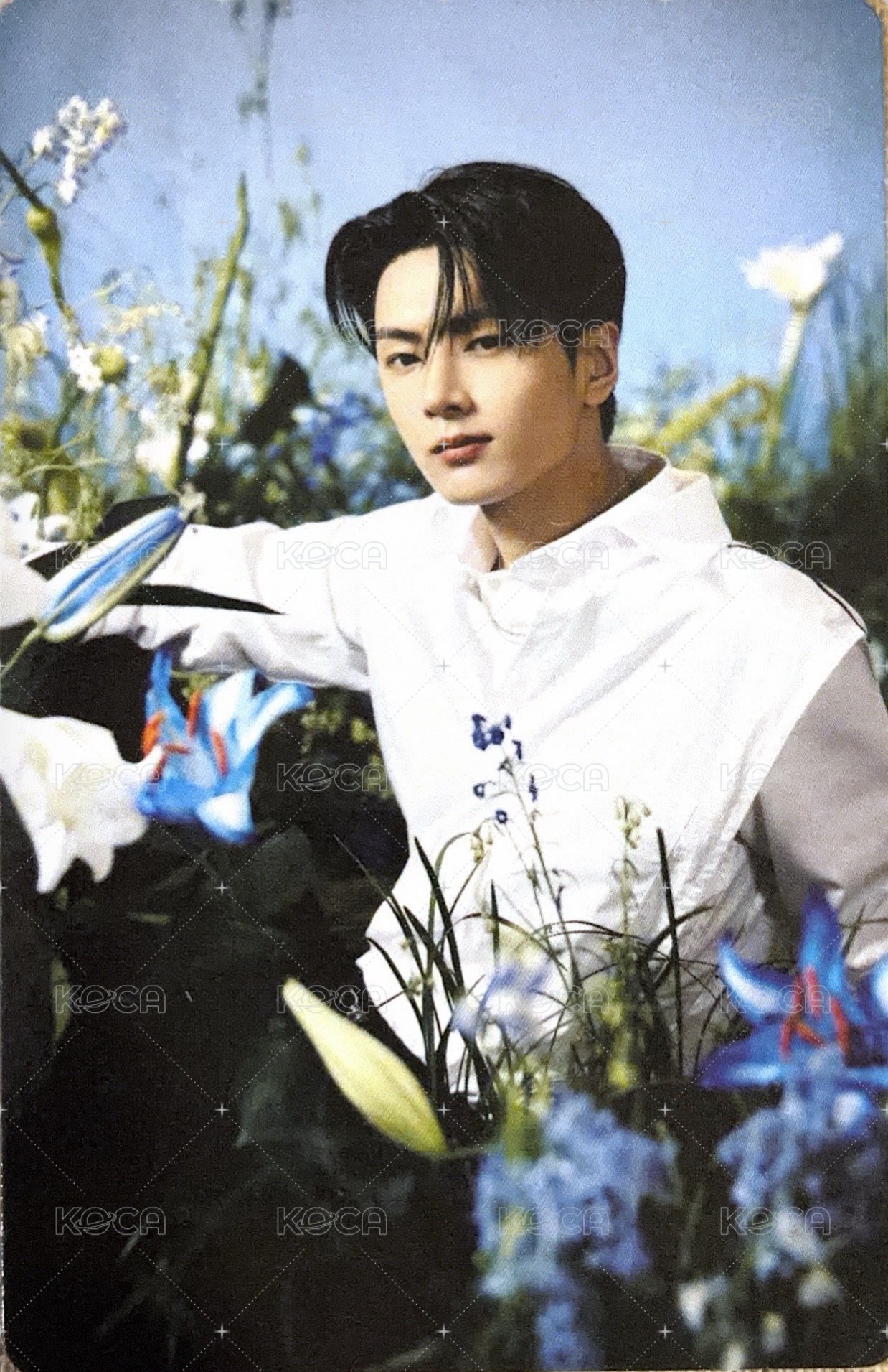 待編輯   隨機卡 WTL場週隨機卡包 官拍卡 01/08 正面