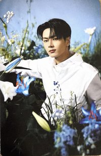 待編輯   隨機卡 WTL場週隨機卡包 官拍卡 01/08