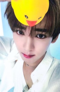 迷四 sw 特典卡 鴨子 ver.