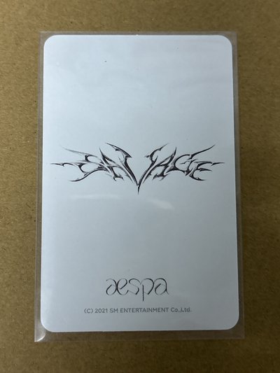 aespa Karina 柚子 Savage 周邊卡 快閃閃卡柚