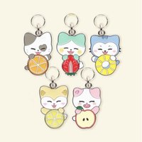 2025 日本快閃 鑰匙圈吊飾 