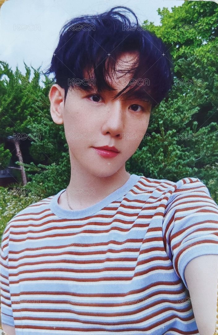 Hello, World 特典卡 伯賢Hello,World美通W版JC 正面