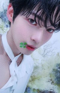 迷五 sr 特典卡 四葉草ver.