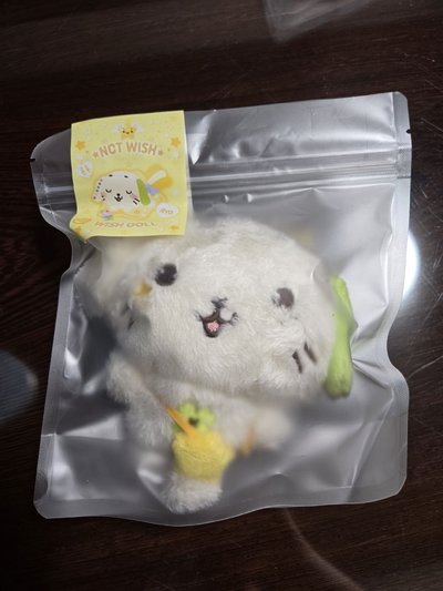 遼小卡+日巡隨機卡套+Ronron