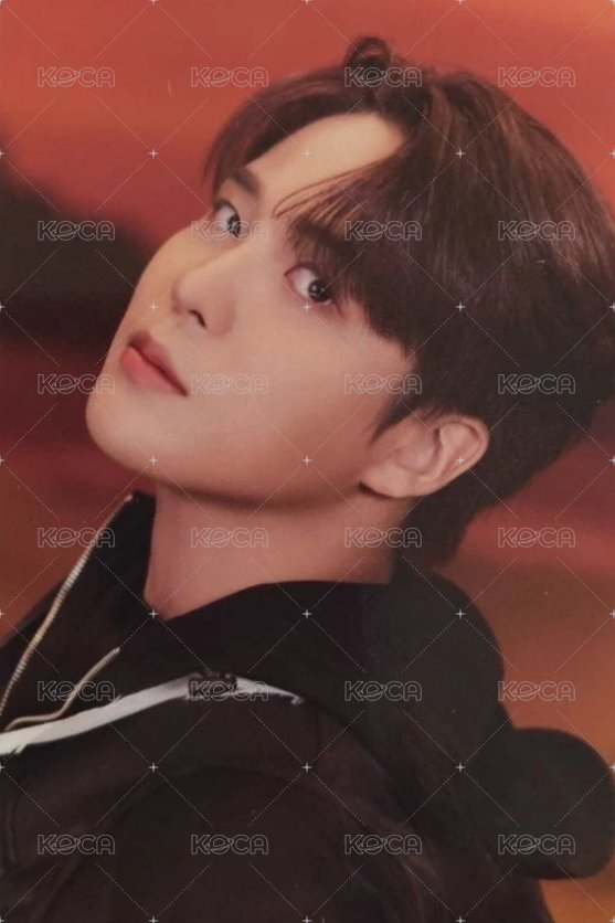 WILL 專輯卡 A ver. Z 正面