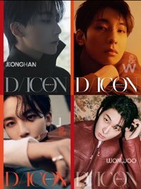 其他 DICON ISSUE N°17雜誌JxW 