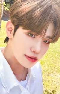 迷一 sw 特典卡 草地 ver.