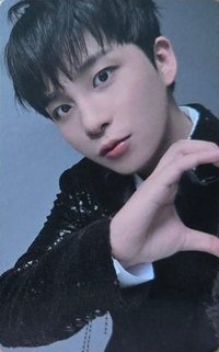 Paradigm 專輯卡 個別盤