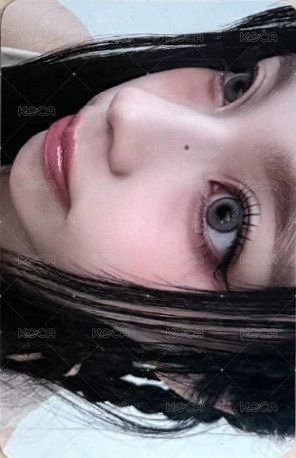 FORWARD ms 14.0 簽售卡 懟臉 正面