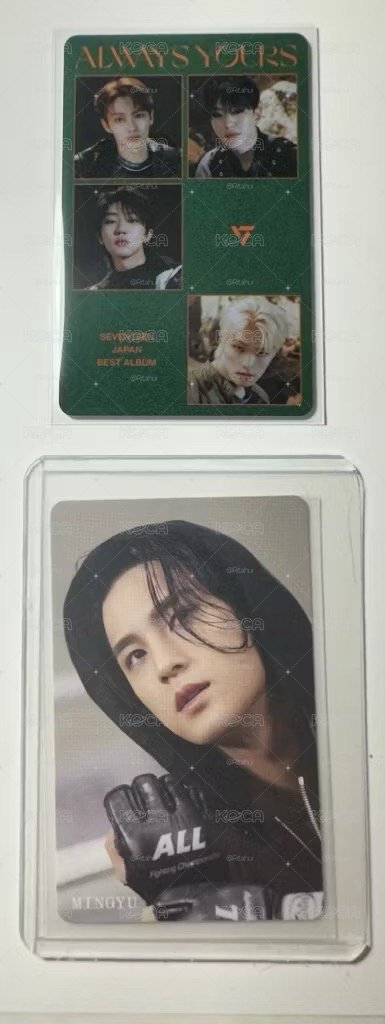 SEVENTEEN  迷10 迷11 日專 JEONGHAN JOSHUA JUN MINGYU 特典 小卡 集章卡