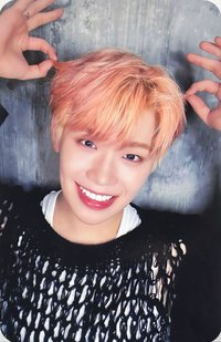 迷四 mmt 特典卡 犄角 ver.