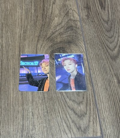 正四後續 SECTOR 17 SW 1.0 LD/WVS特典 八