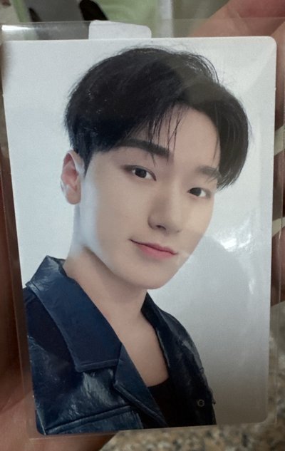 兩張傘尼一起合售