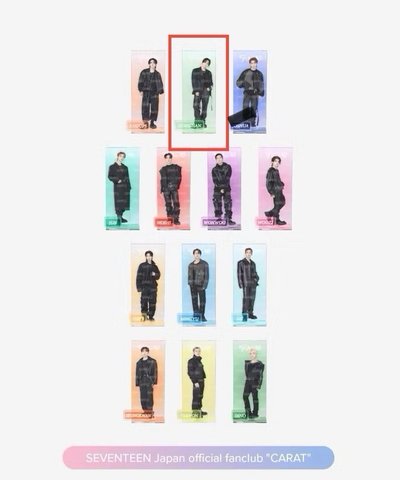 SEVENTEEN FOLLOW TO JAPAN 演唱會 周邊 (卡夾 人像扇子 立牌 掛畫)