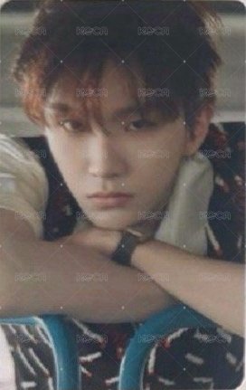 BOYLIFE hmv 特典卡 官拍 正面