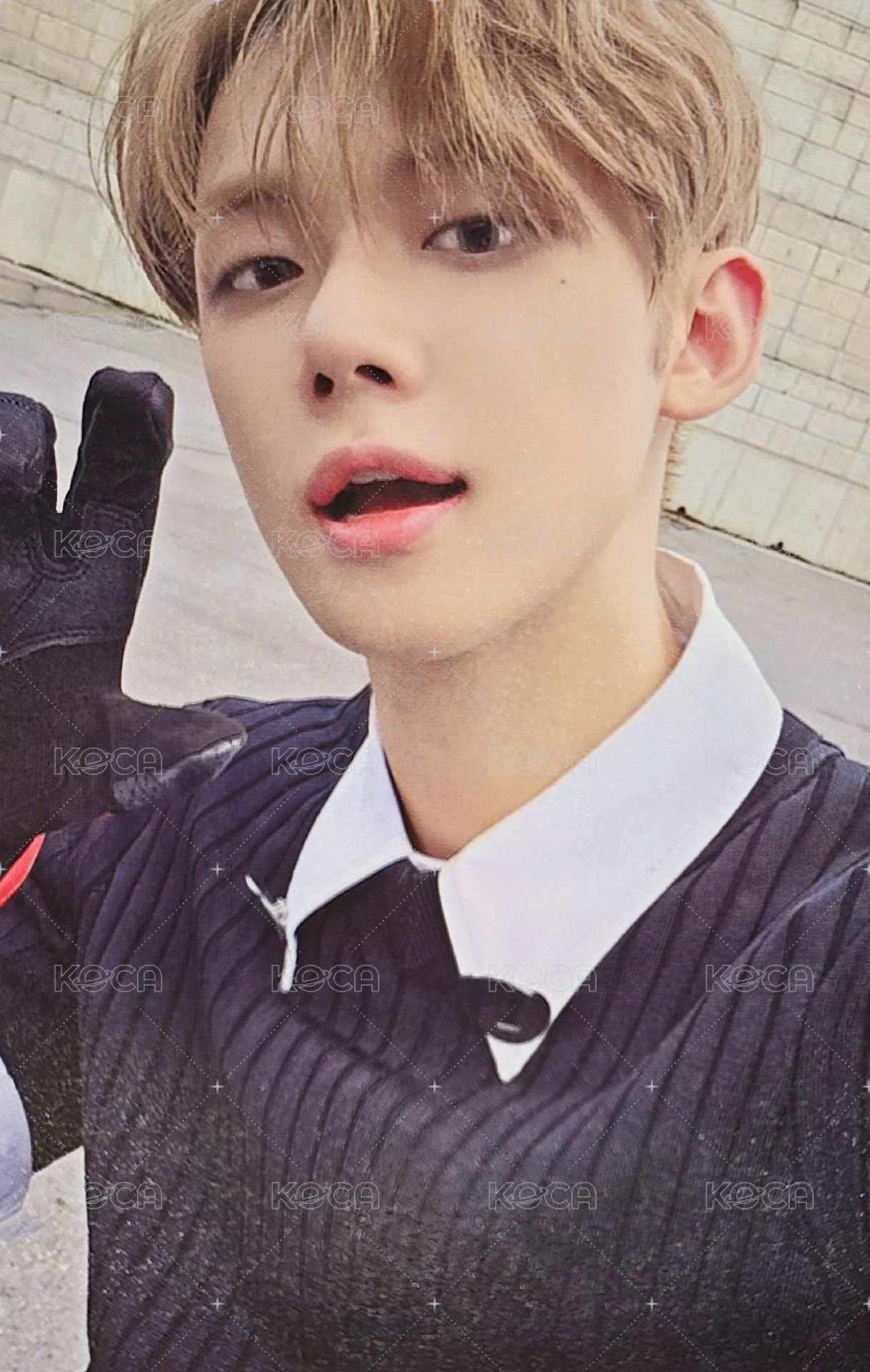 迷七 wvs 特典卡  正面