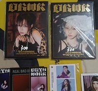 DW明信片書（冬）