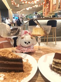 33(目前在進行演唱會免費應援活動！可看哀居參與）