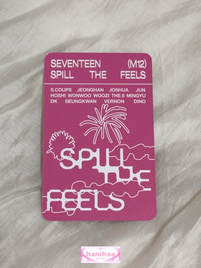 夫勝寛 mini12 迷12 克拉盤隨機卡