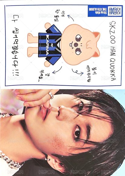 KARMA 專輯卡 電子專娃身分證卡 正面