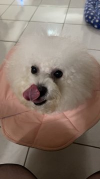hsuan