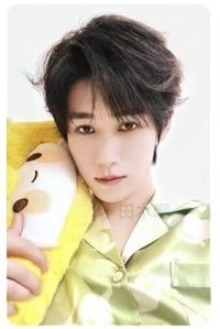 抱枕 周邊卡 張真源 抱枕卡