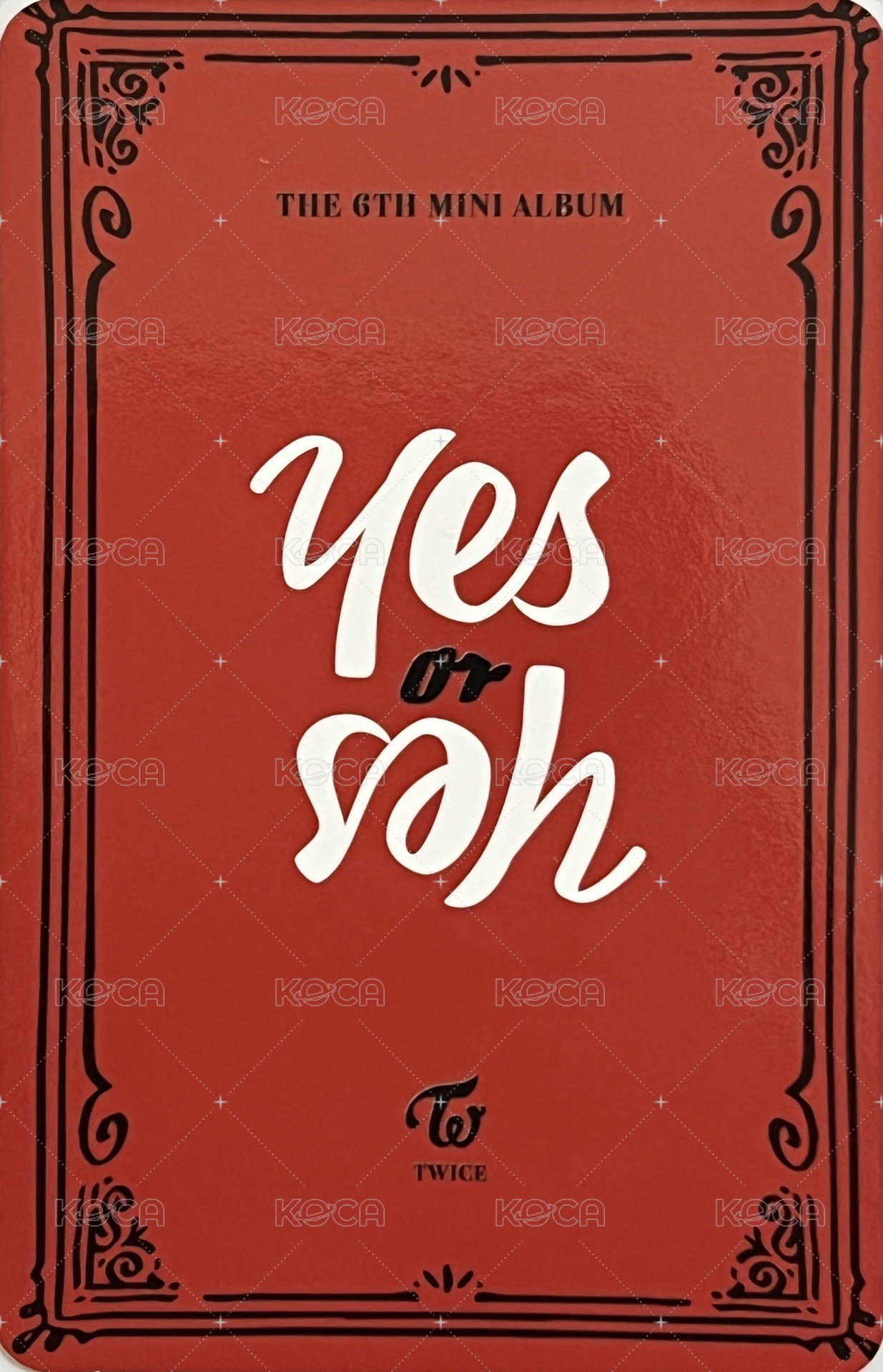 YES or YES 專輯卡  背面