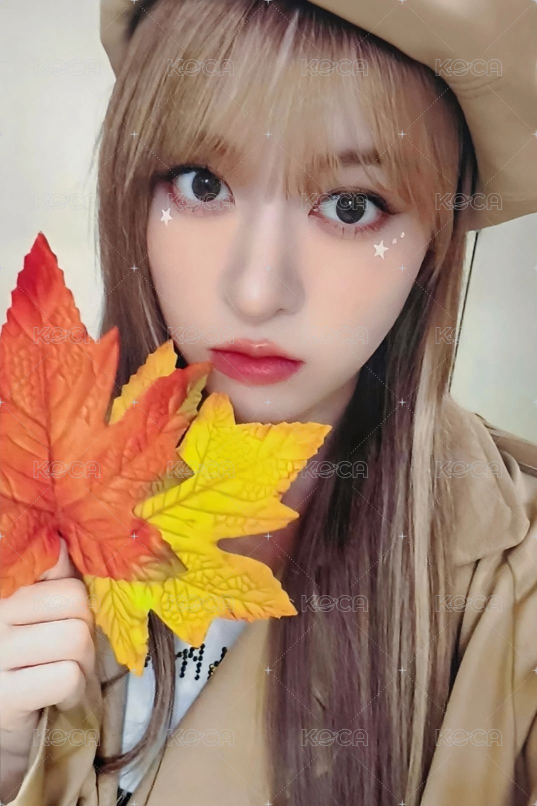 STICK OUT ms 幸運卡 LD 楓葉莉 正面