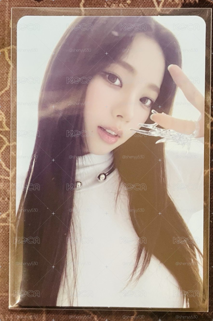 三巡隨機卡-柚(送演唱會紙花吊飾)