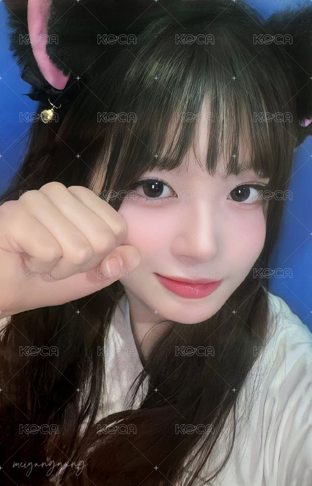 expérgo mp 幸運卡 黑貓薛 正面