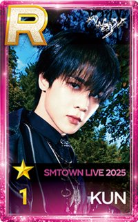 25SMT 遊戲卡 KUN