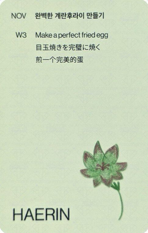 2024SG 年曆卡  背面