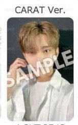 MINI12 塔店 Carat ver 特典卡  正面