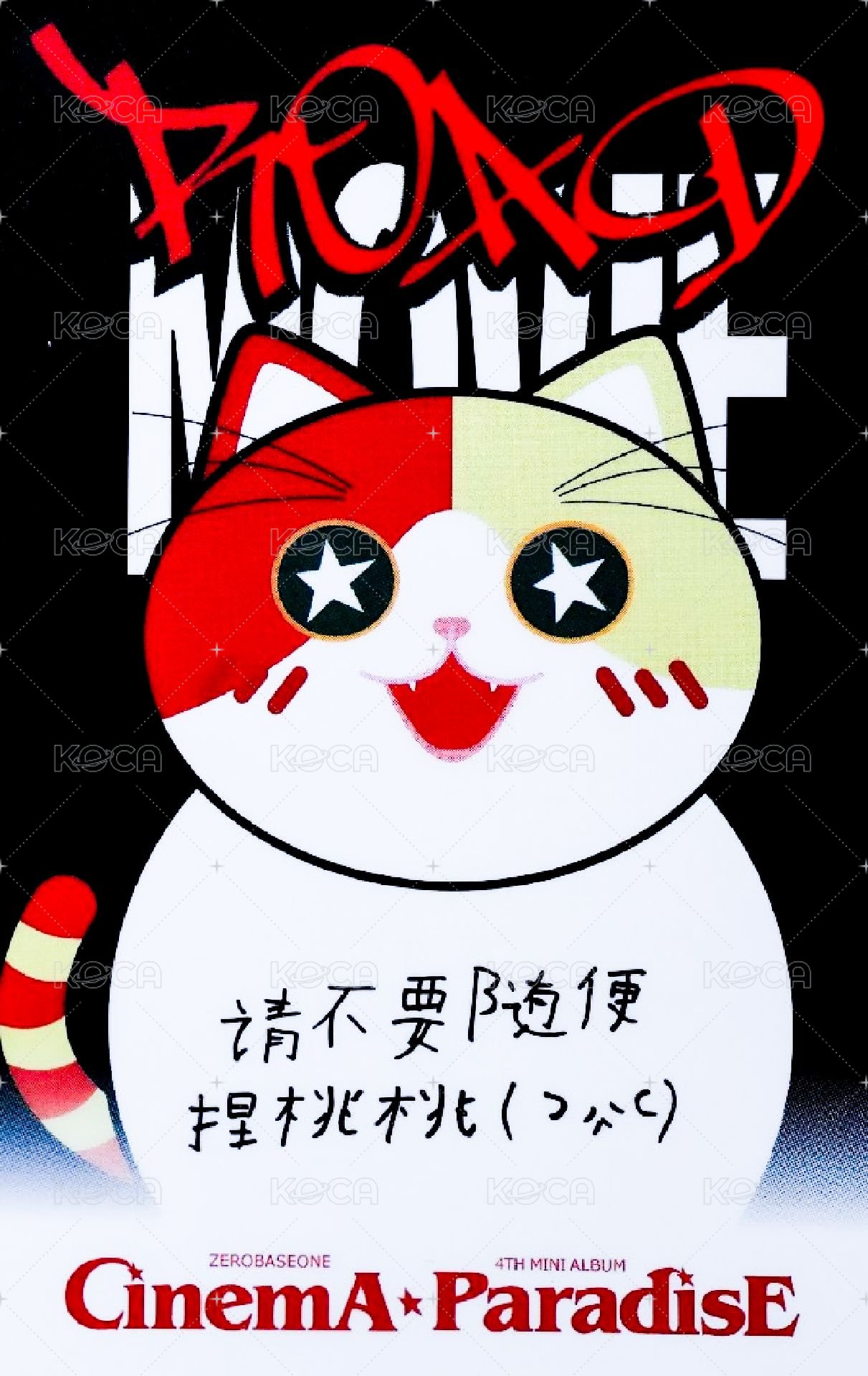 迷四 yzy 簽售卡 胖貓 ver. 背面