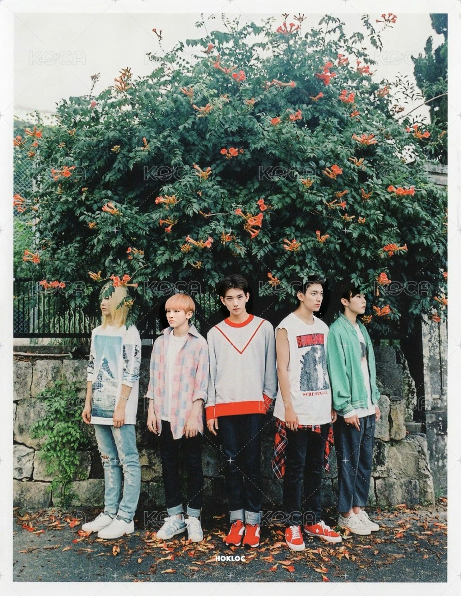 MINI2 明信片 HIDE ver 正面