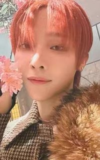 雪明 專輯卡 通常專卡